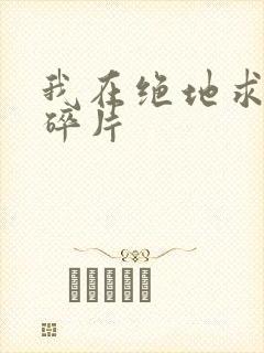 我在绝地求生捡碎片