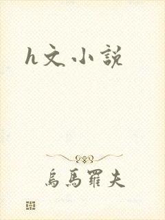 h文小说