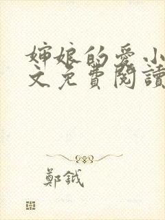 婶娘的爱小说全文免费阅读