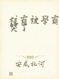 校霸被学霸A咬哭了