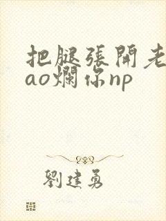 把腿张开老子cao烂你np