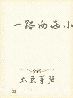 一路向西小说