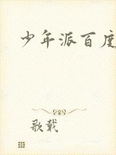 少年派百度百科