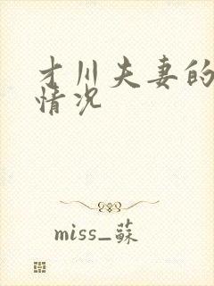 才川夫妻的恋爱情况