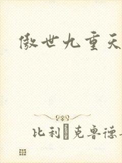 傲世九重天小说