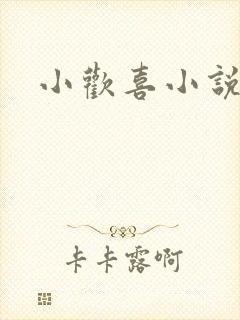 小欢喜小说
