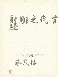 射雕之我有太玄经