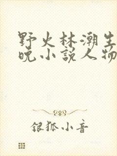 野火林潮生林晚晚小说人物野火