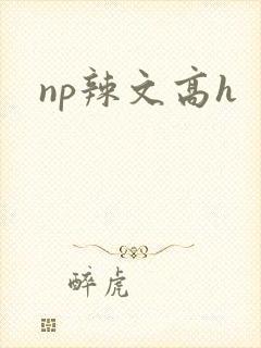 np辣文高h