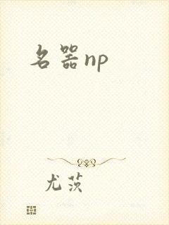 名器np