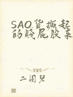 SAO货撅起你的贱屁股来