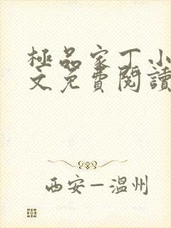 极品家丁小说全文免费阅读