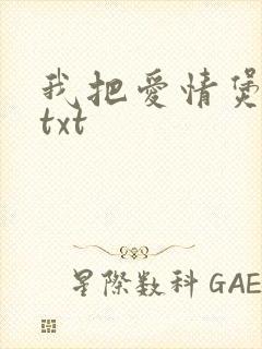 我把爱情煲成汤txt
