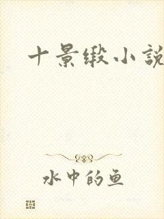 十景缎小说