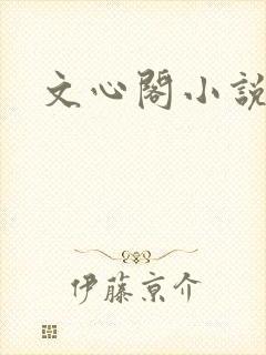 文心阁小说