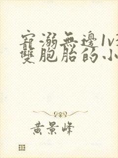 宠溺无边1v3双胞胎的小说