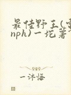 最佳野王(电竞nph)一坨薯饼