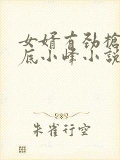 女婿有劲枪枪到底小峰小说