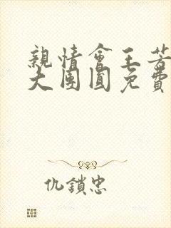 亲情会王芳高敏大团圆免费阅读