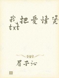 我把爱情煲成汤txt