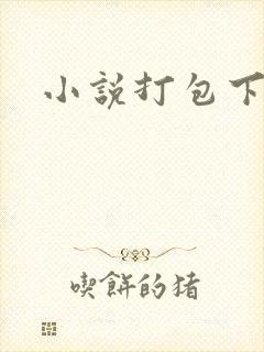 小说打包下载