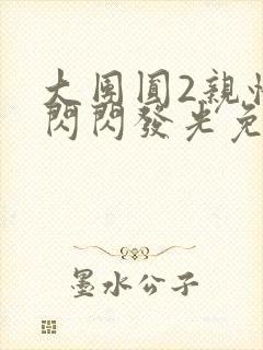 大团圆2亲情会闪闪发光免费