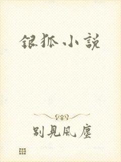银狐小说