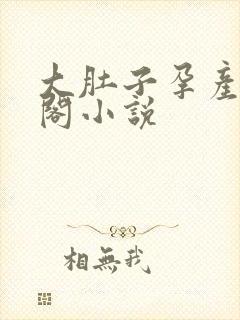 大肚子孕产笔趣阁小说