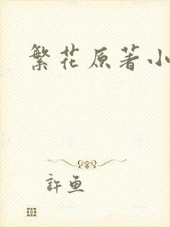 繁花原著小说