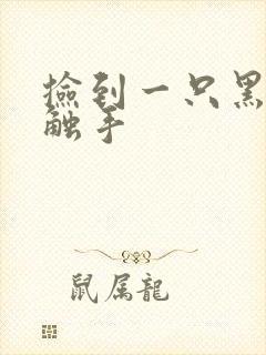 捡到一只黑心小触手