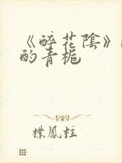 《醉花阴》by酌青栀