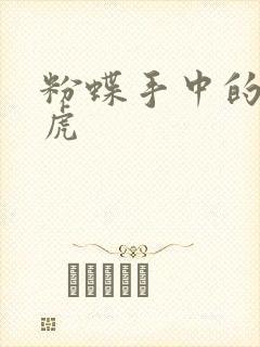 粉蝶手中的纸老虎