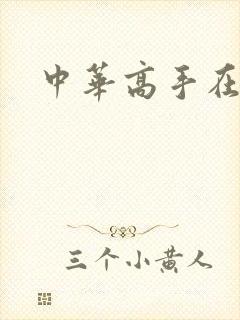 中华高手在异世