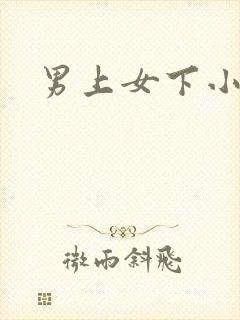 男上女下小说