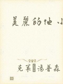 美丽的他 小说