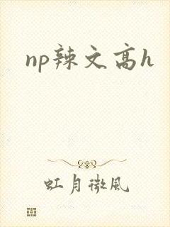 np辣文高h