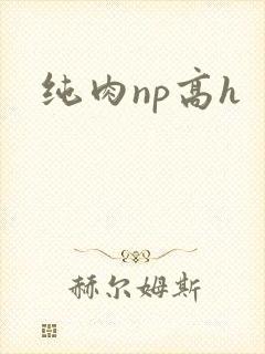 纯肉np高h