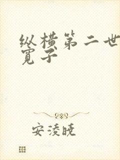 纵横第二世界 宽子
