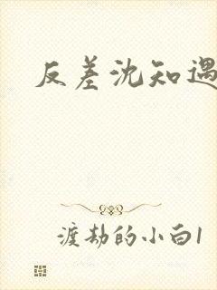 反差沈知遇晏应