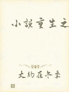 小说重生之官道