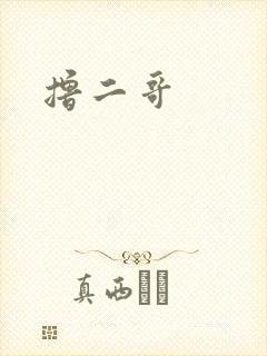 撸二哥