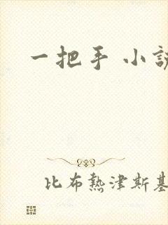 一把手 小说