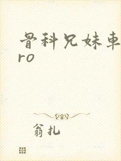 骨科兄妹车多pro