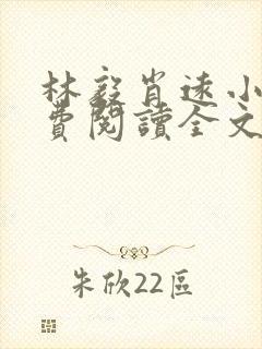 林毅肖远小说免费阅读全文最新章节