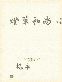 灯草和尚 小说