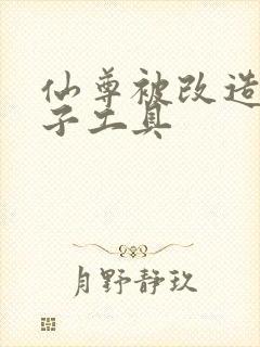 仙尊被改造成产子工具