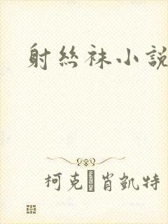 射丝袜小说