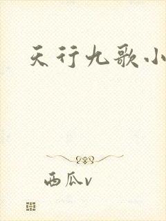 天行九歌小说