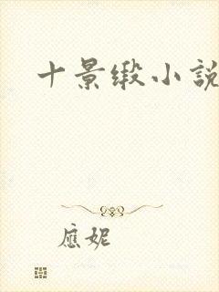 十景缎小说