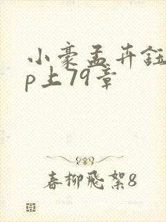 小豪孟卉钰慧三p上79章